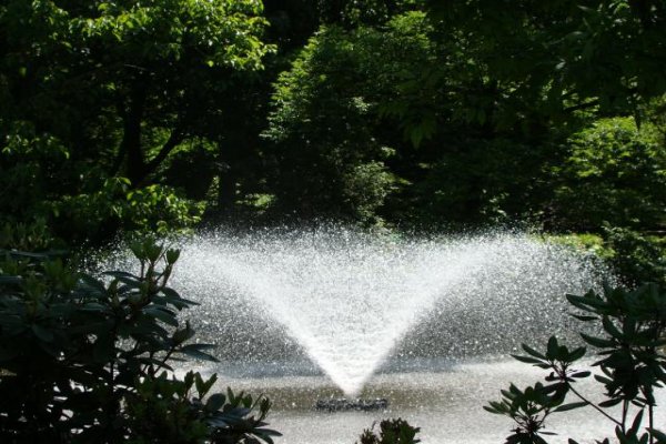 Ogród Botaniczny we Wrocławiu Wrocław mapa zdjęcia opinie