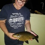 Gosia - Domek 40m do jeziora Sosno 