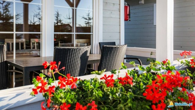 Domki i Pokoje u Tadeusza