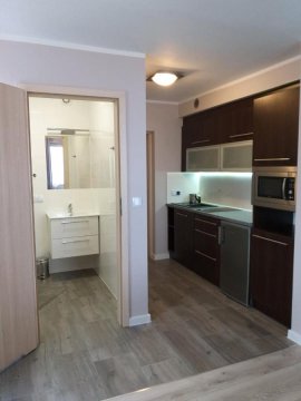 Domek pod świerkami