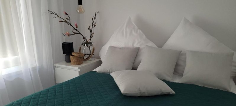 Apartamenty Pod Uwalonym Dębem