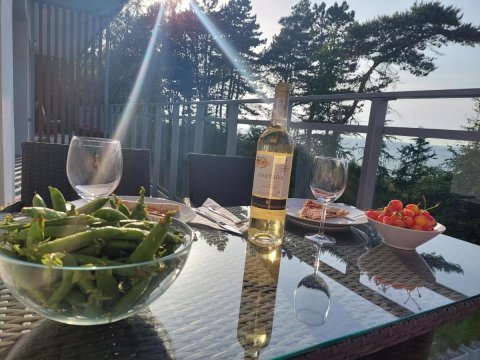 APARTAMENT BALTICHOFF PREMIUM with Sea View, Basen, Spa, Gym, Sauna, hala sportowa z kortem tenisowym