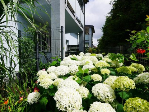 Szafir Apartamenty