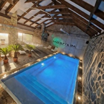 STREFA BASENOWA - Małe Alpy & SPA - Willa z Całorocznym Basenem 