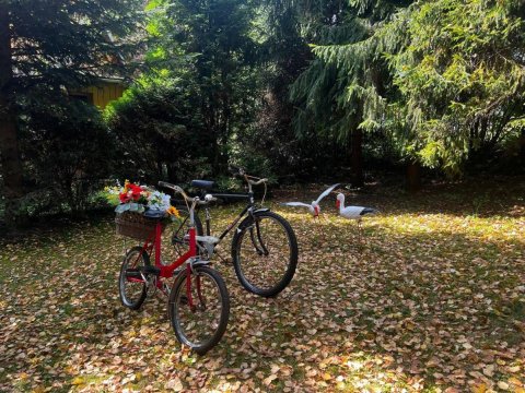 ELDORADO - całoroczny domek wakacyjny 35 km od Krakowa