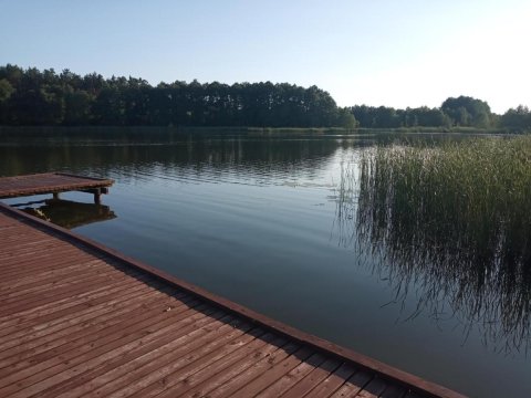 Zalesie z pomostem I