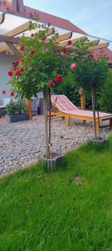 106B/A Wolany