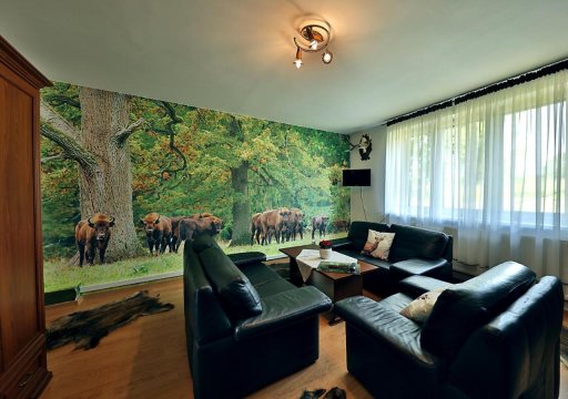 Apartamenty w Puszczy Boreckiej