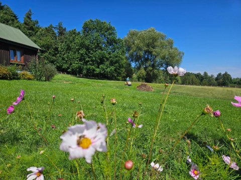 Świętokrzyska Chata Biegacza - dom przy szlaku