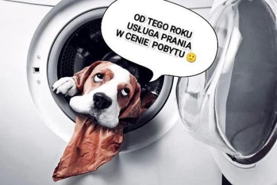 Świętokrzyska Chata Biegacza - dom przy szlaku