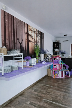 Piękna Willa w Jurgowie