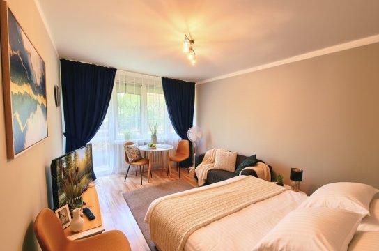 Apartament Wapienna