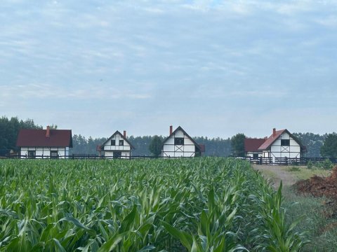 Klinwdzydze
