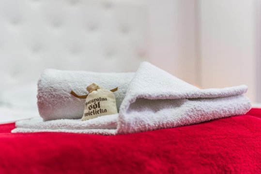 Apartament Solny Wieliczka Centrum 5