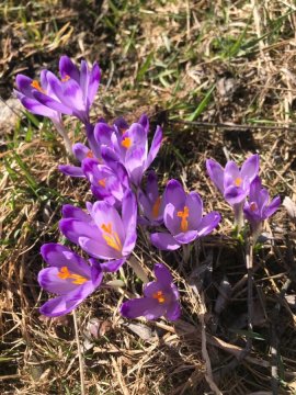 Domek Regionalny Bąkowo Chatka