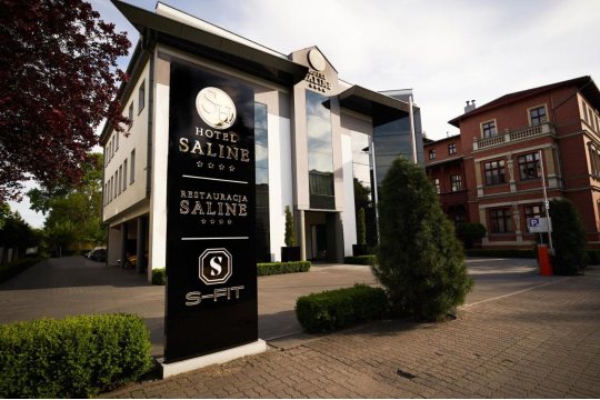 Hotel Saline