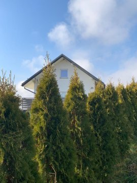 Aura Home