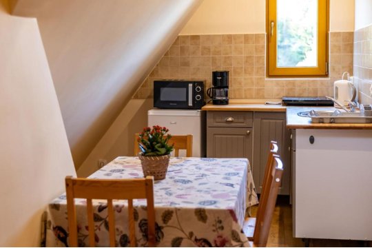 Apartamenty i pokoje gościnne Wajdówka