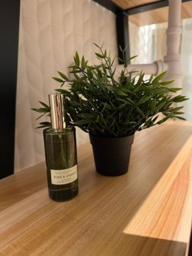 Apartamenty Homole