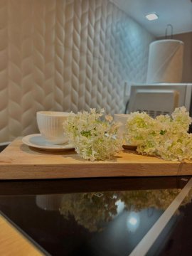 Apartamenty Homole