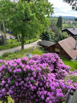 Apartament Wiktoria