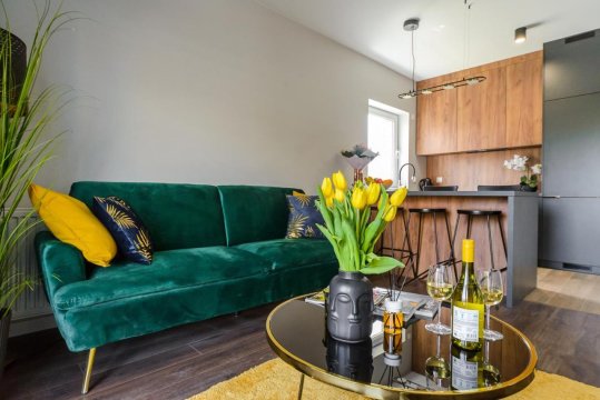 Lumina premium apartments for a family
