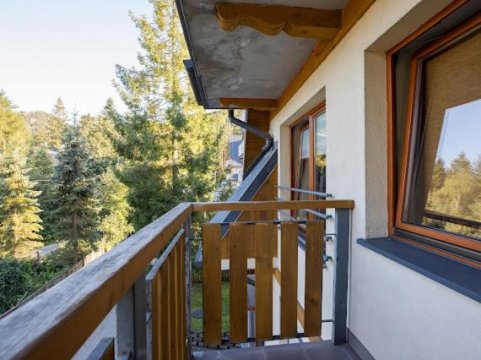 Apartament Egzotyczny Bory