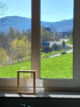 Apartament Gór-Ski Saneczkowa