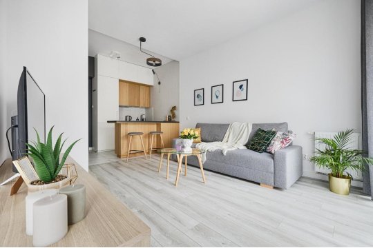 ApartHouse Piotrkowska