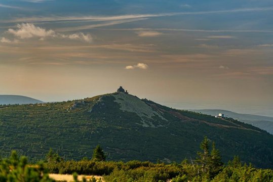 Górska Róża