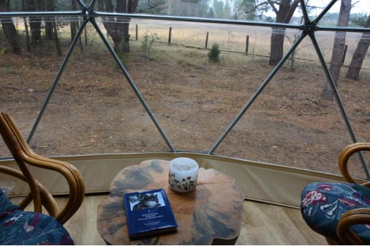 Glamping Drzwi Do Lasu