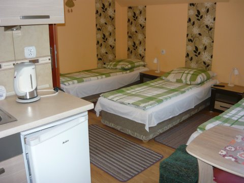 Urokliwe położenie gospodarstwa 8 km koło Elbląga