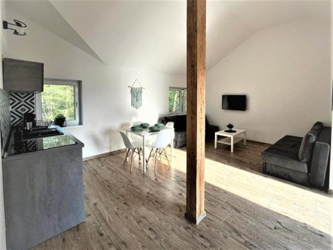 Komfortowe apartamenty w Rowach