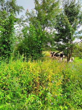 Agroturystyka "Dobre czasy"