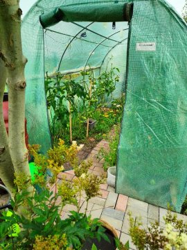 Agroturystyka "Dobre czasy"