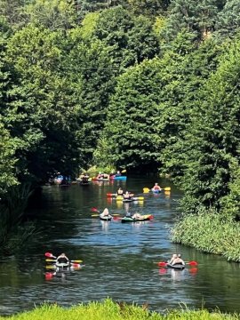 Drewniane Domki Mała Sowa