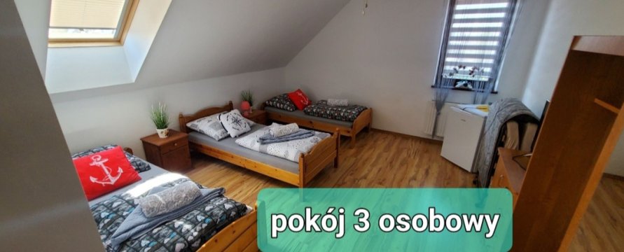 Wynajem pokoji 