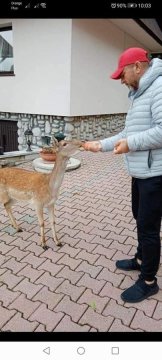 Agroturystyka Pod Lasem