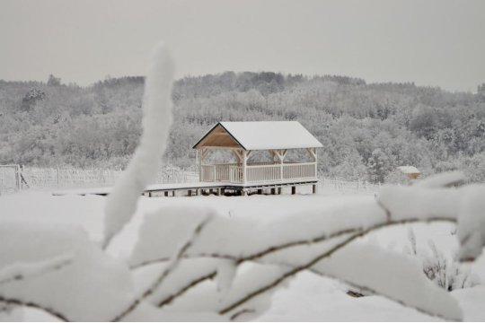 Sztukówka Winery