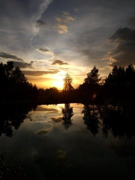 Bukolik