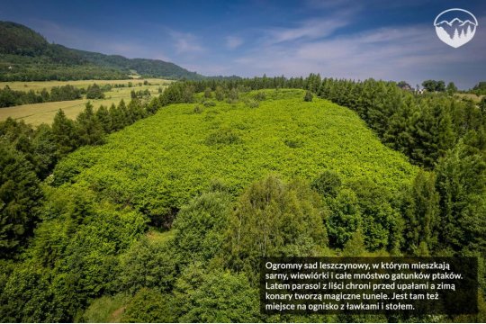 Agroturystyka Leszczynowe Wzgórze