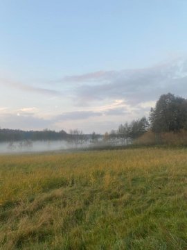 Osada pod Lipą