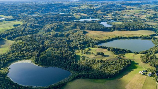 Mały Kaletnik