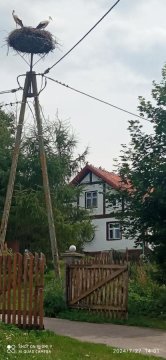 Pokoje u Roberta