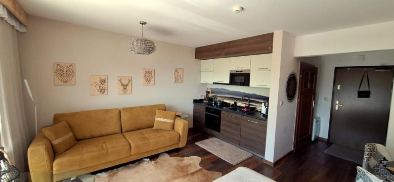 apartament Nad Doliną z tarasem i jacuzzi