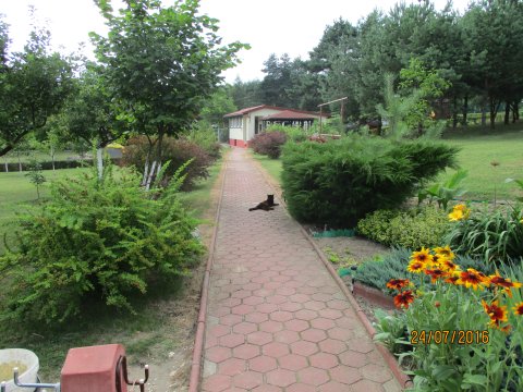 Domek na Jurze w Kocikowej