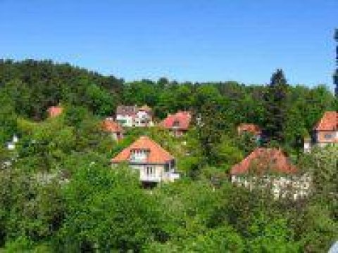 Widok z okna - Apartament Magnolia