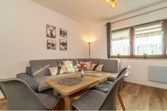 Apartament Cztery Pory Roku Białka Tatrzańska