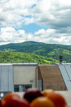 Panorama Loft - Wisła - Magiczny Horyzont