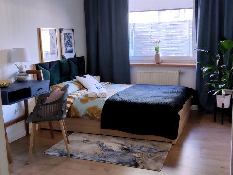 Morskie Boho Apartament z dyżym Tarasem Gdynia Najem Wakacje Praca Zdalna Pies